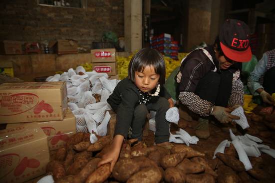 C:\Users\cheng\AppData\Local\Temp\WeChat Files\519443474697729947.jpg