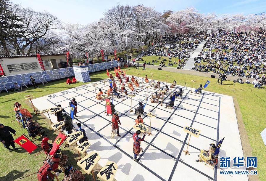 樱花盛开 日本举办"真人象棋"比赛