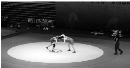 辽宁女摔全锦赛夺三金 剑指奥运