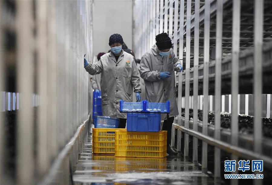 (图文互动)(1)山海携手 圆梦小康——记闽宁对口扶贫协作援宁群体