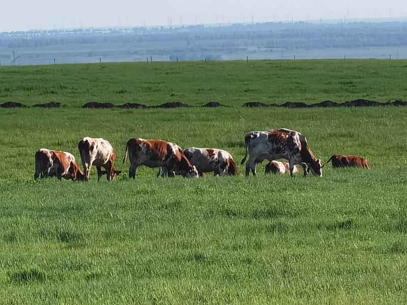 我省第四次全国农业普查综合试U8国际- U8国际官方网站- U8体育APP下载点启动