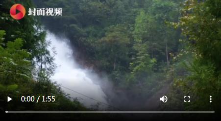 生物多样性之美走进大熊猫国家公园一组数据见证人退猫进