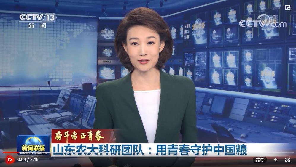 奋斗者正青春山东农大科研团队用青春守护中国粮
